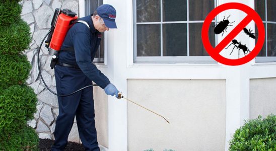 Bozyazı Karınca İlaçlama böcek ilaçlama ve haşere kontrolü — ilaclama-tr.com